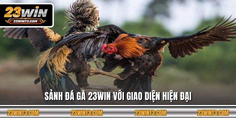 Sảnh đá gà 23WIN với giao diện hiện đại